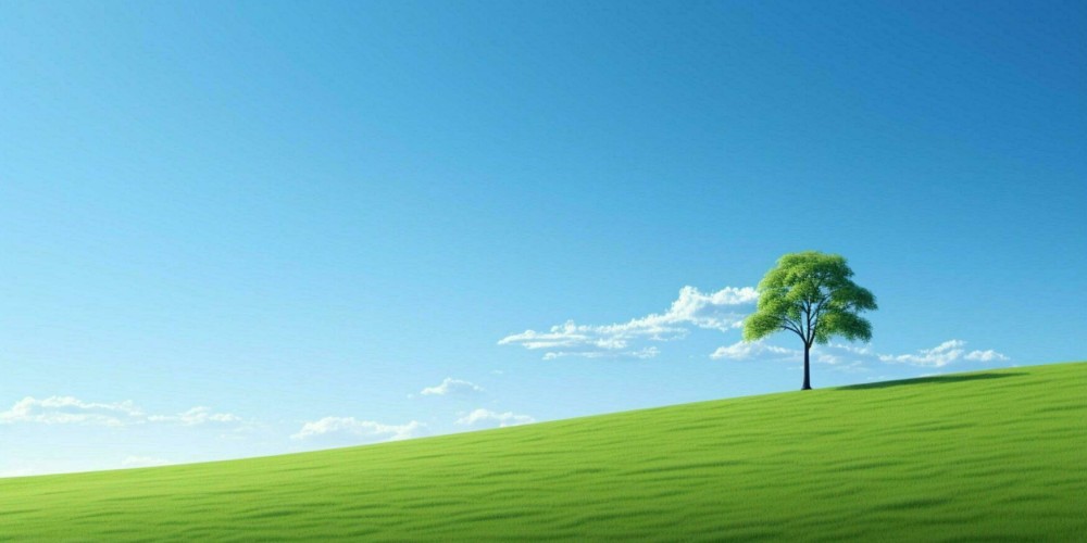Sơn Thân Thiện Môi Trường